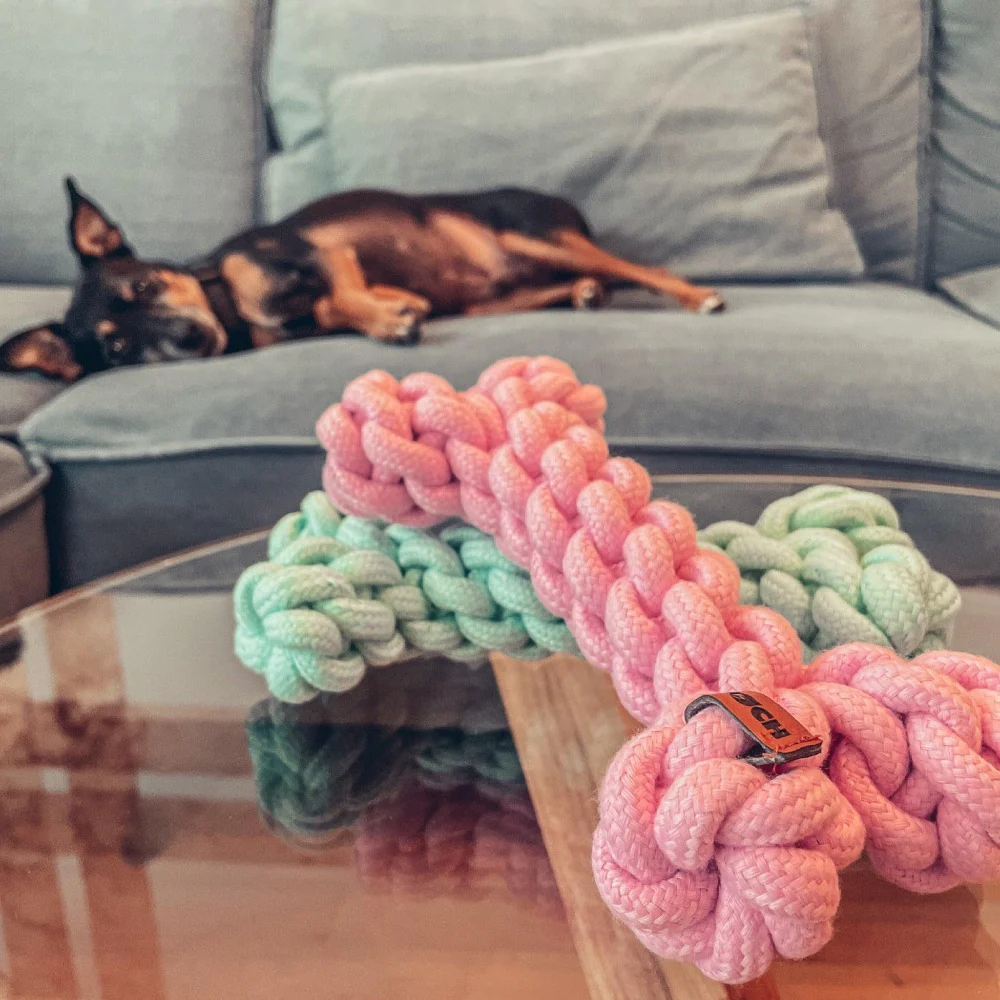 Boney Bone Hundespielzeug Knochen