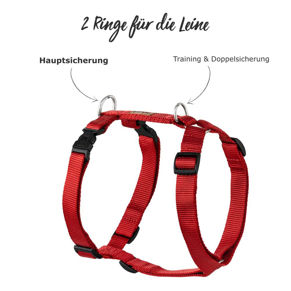 Classic Hundegeschirr - Image 5