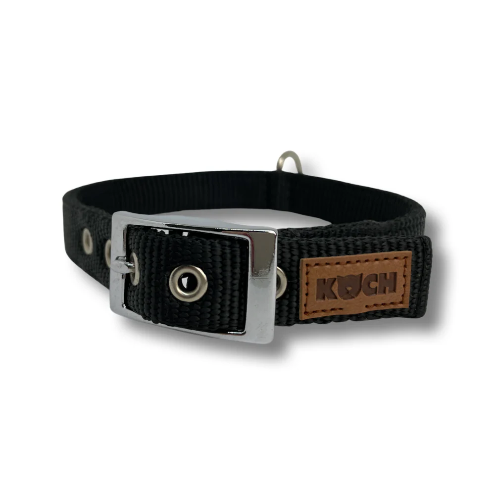 Classic Hundehalsband mit Schnalle - Image 5