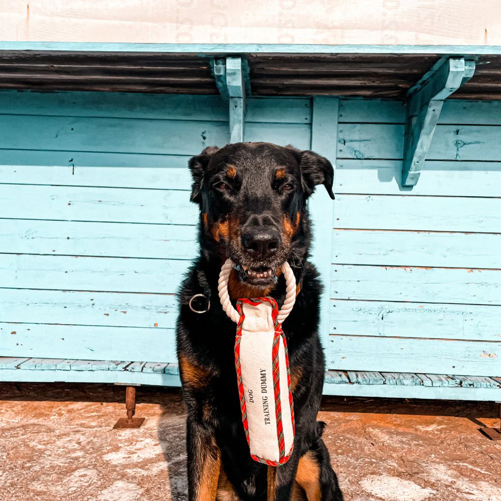 Dog Training Dummy - Image 3