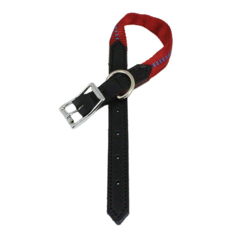 G-Adventure Hundehalsband mit Leder & gepolstertem Nylon - Image 3