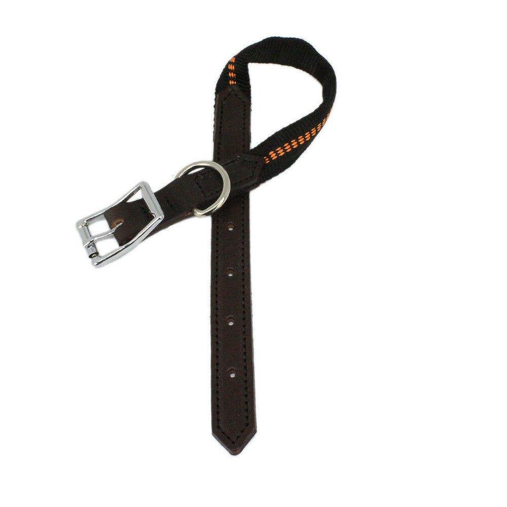 G-Adventure Hundehalsband mit Leder & gepolstertem Nylon - Image 4