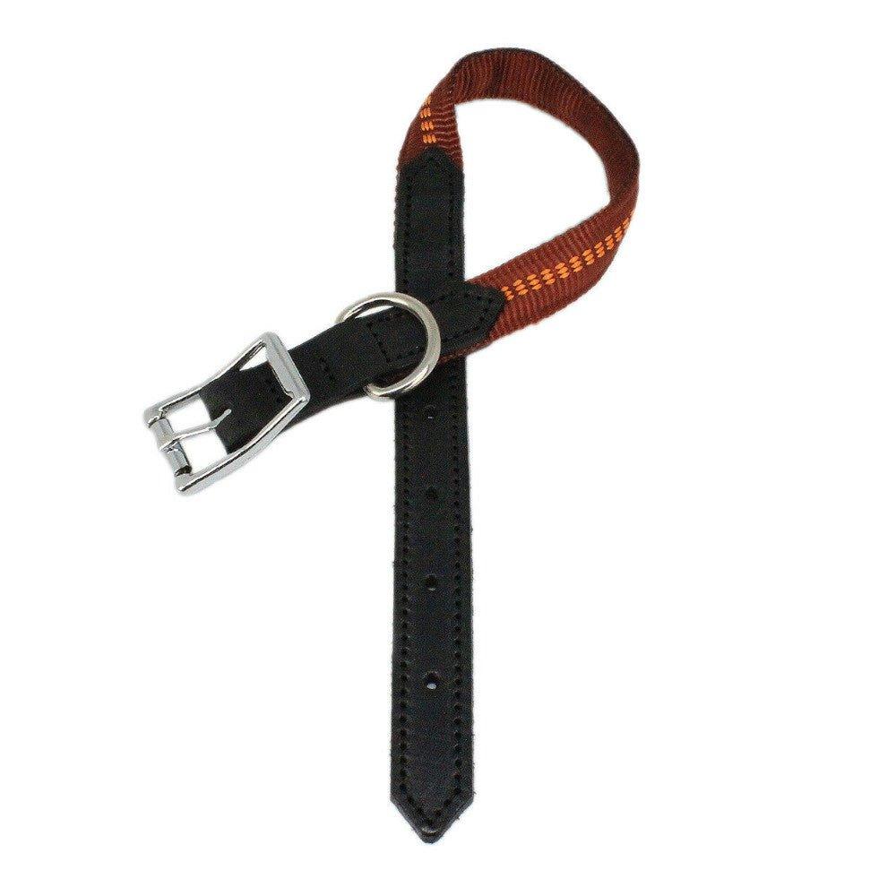 G-Adventure Hundehalsband mit Leder & gepolstertem Nylon - Image 5