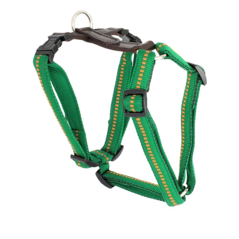 G-Adventure Hundegeschirr mit Leder & gepolstertem Nylon - Image 3