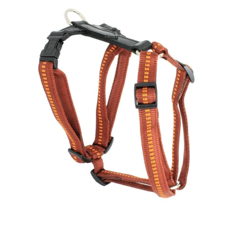 G-Adventure Hundegeschirr mit Leder & gepolstertem Nylon - Image 4