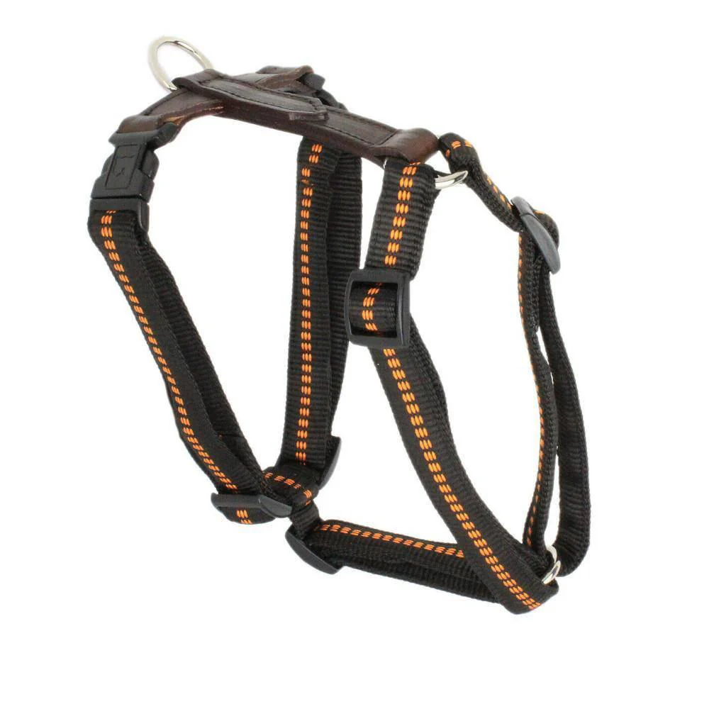 G-Adventure Hundegeschirr mit Leder & gepolstertem Nylon - Image 5