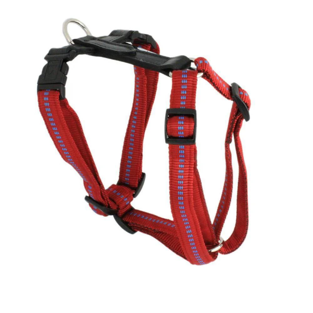 G-Adventure Hundegeschirr mit Leder & gepolstertem Nylon - Image 6