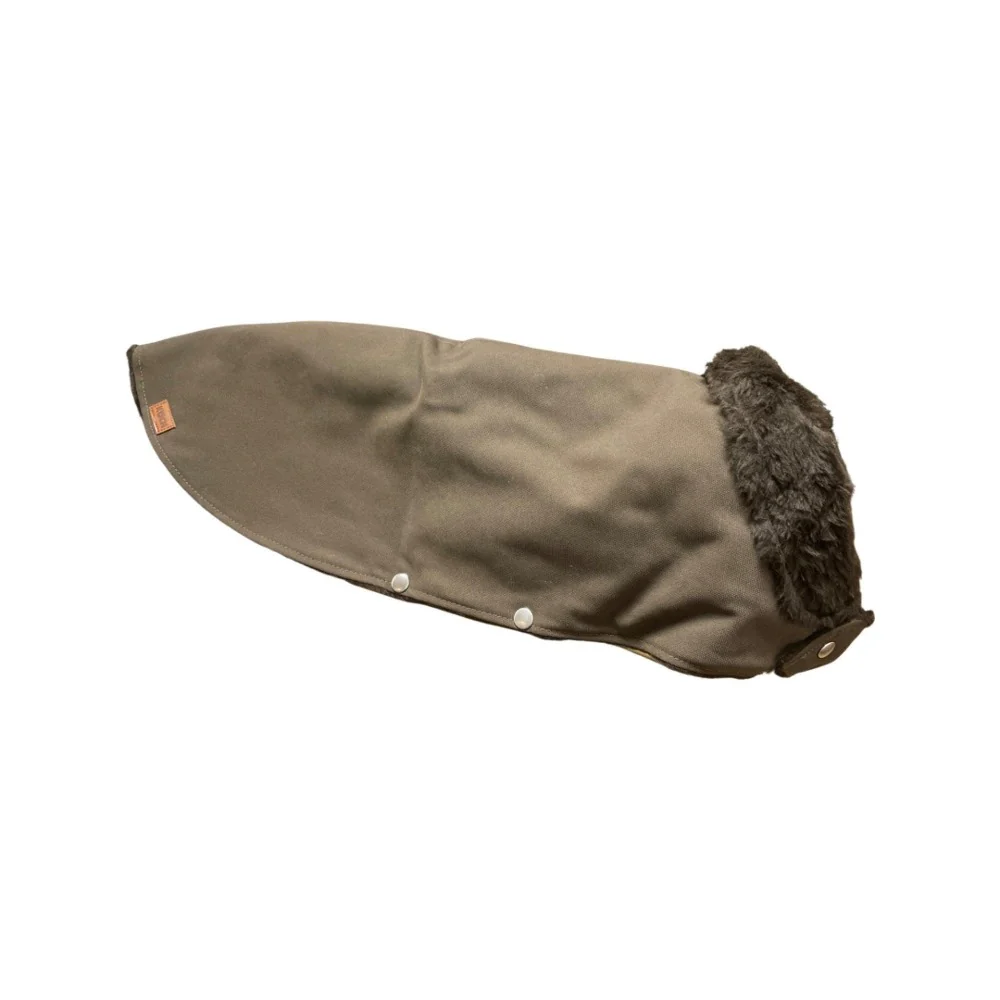 Vorschaubild 1