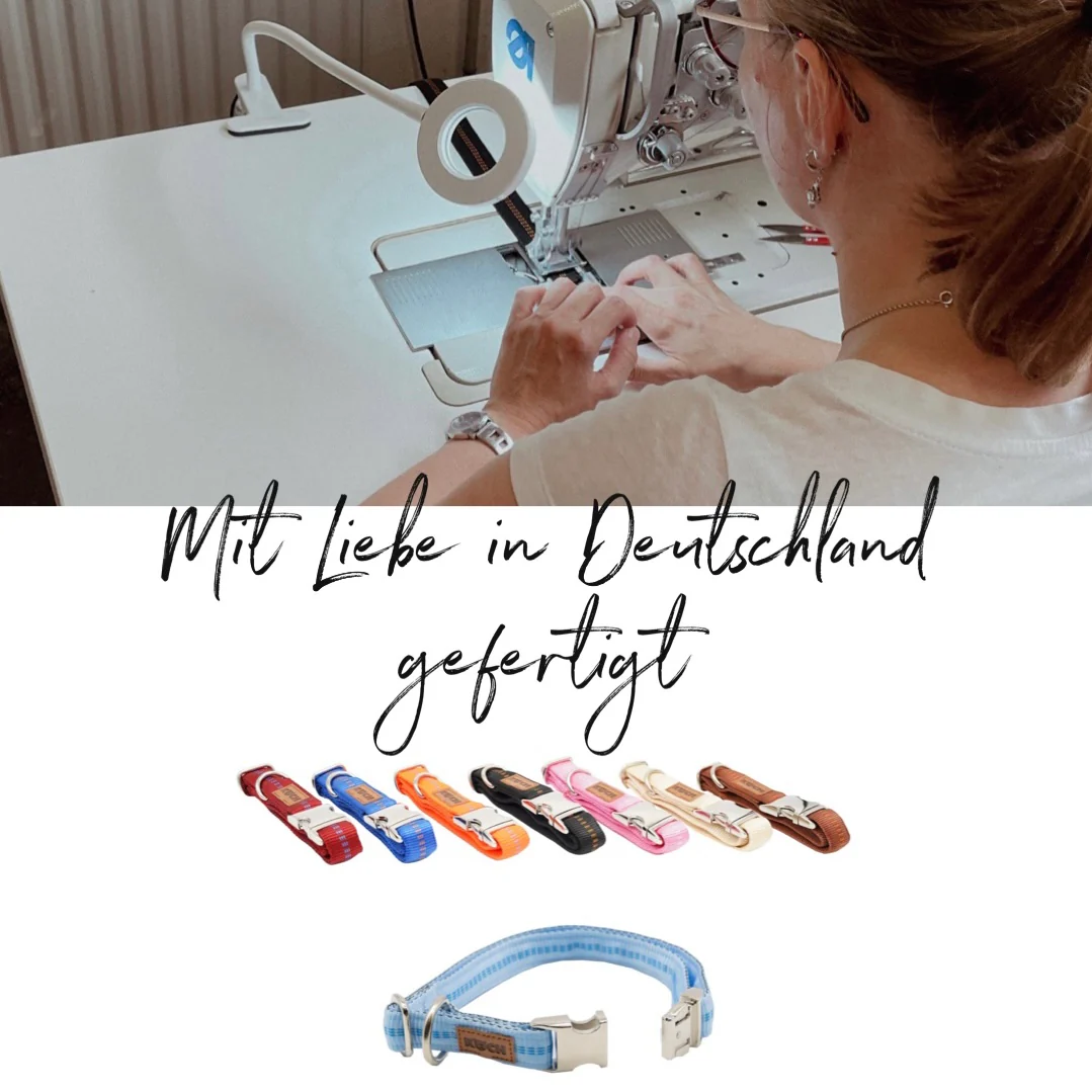 Premium Alu-Klick Hundehalsband gepolstert - Image 26