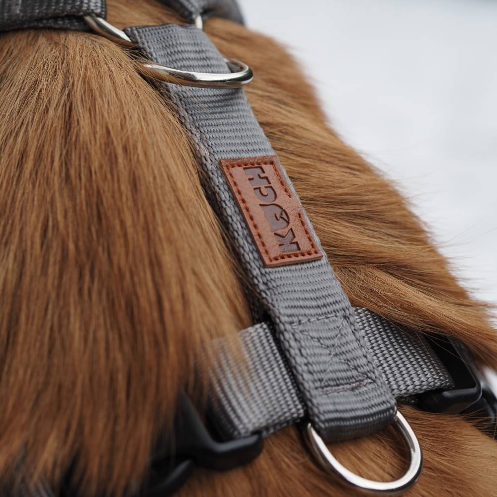 Premium Hundegeschirr gepolstert - Image 36