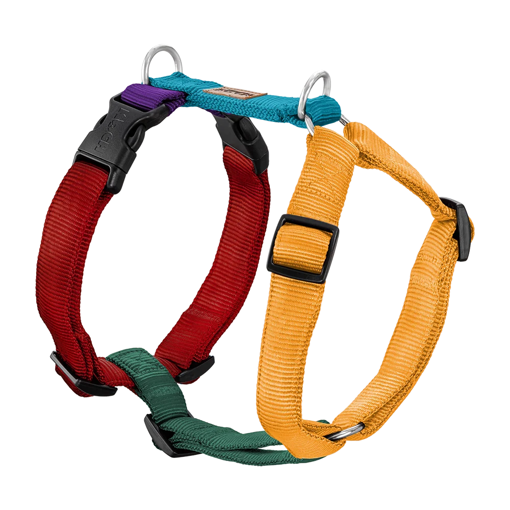 Premium Hundegeschirr gepolstert - Image 11