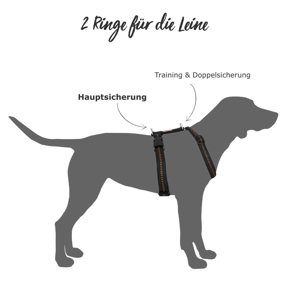 Premium Hundegeschirr gepolstert - Image 29