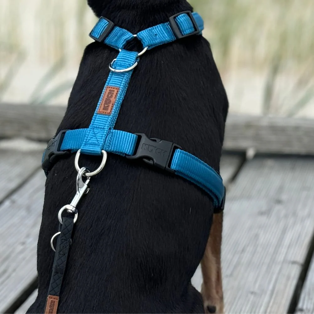 Premium Hundegeschirr gepolstert - Image 33