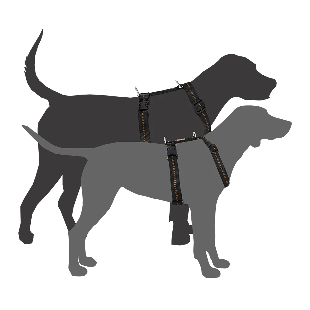 Premium Hundegeschirr gepolstert extrabreit 40mm - Image 11
