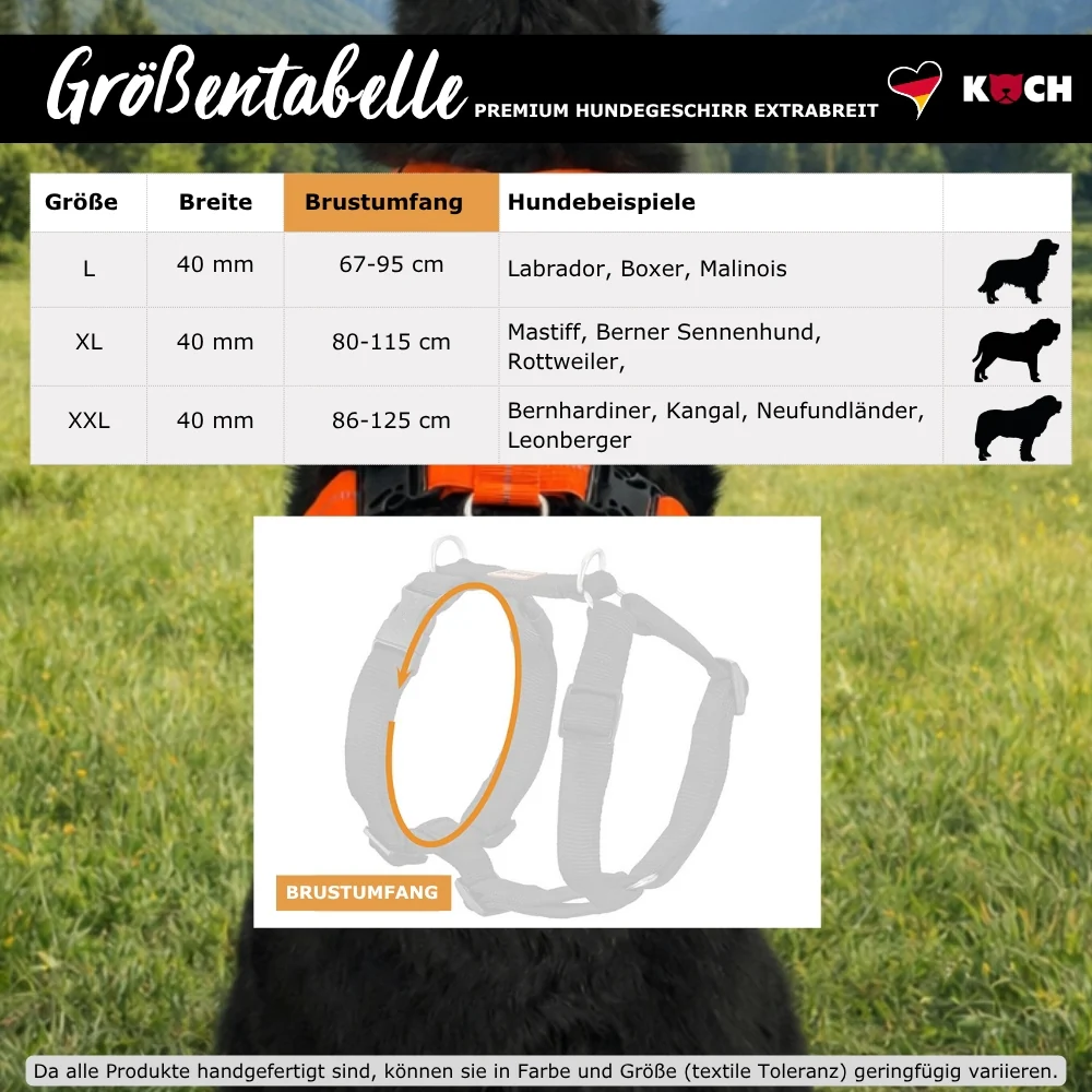 Premium Hundegeschirr gepolstert extrabreit 40mm - Image 7