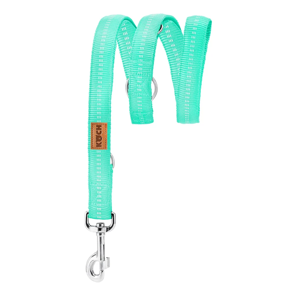 Premium Hundeleine gepolstert verstellbar - 2 & 3 Meter - Image 18