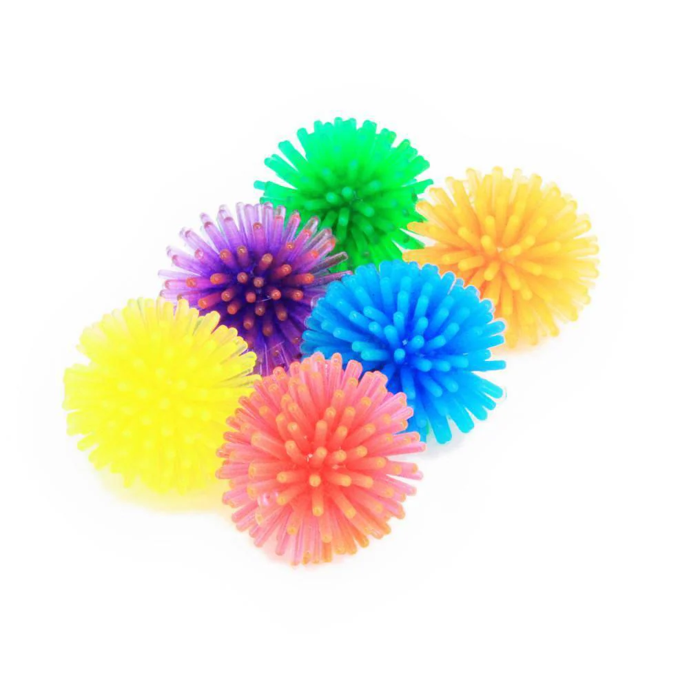 Seeigel | 6er Set